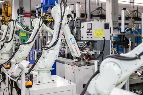 續命還是趨勢？外貿企業“出口轉內銷”的真心話與大冒險